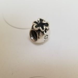 Pandora charm